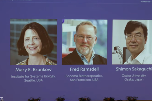 Nobel 2025 Tıp Ödülü 3 bilim insanı  tarafından paylaşıldı<