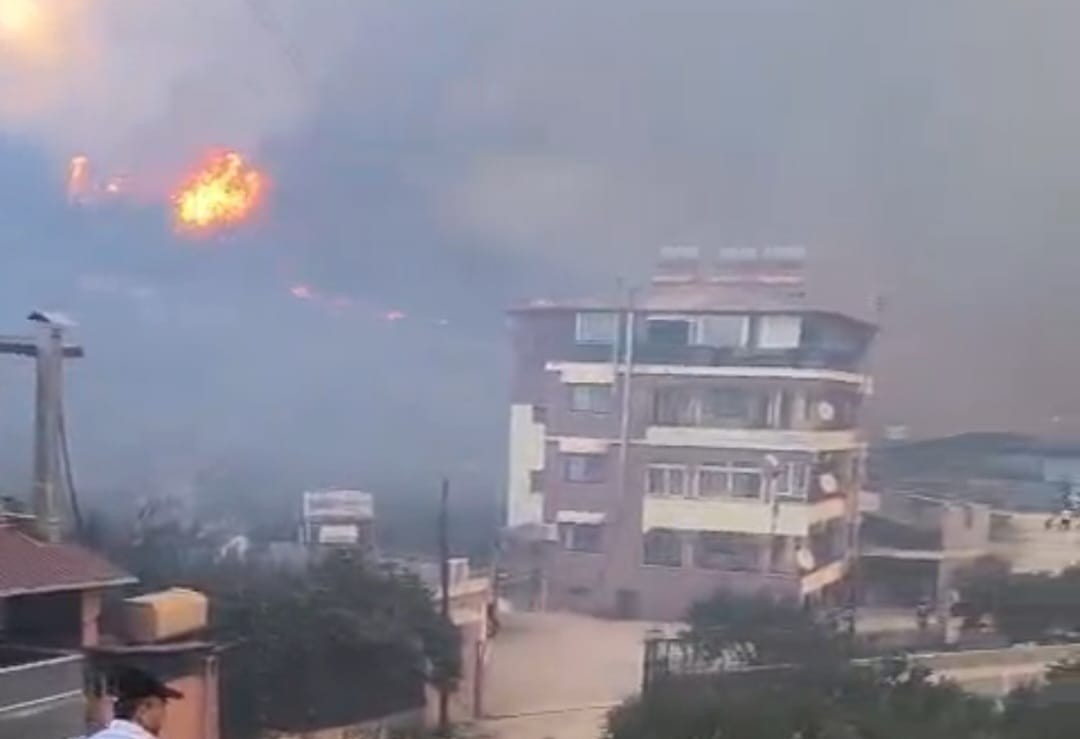 Hatay'daki orman yangınına soruşturma başlatıldı