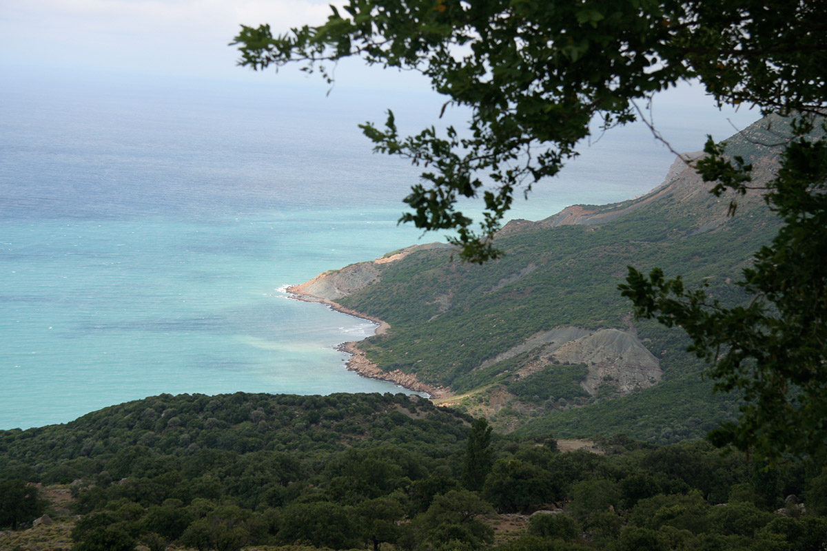 Gökçeada, Cittaslow unvanı ile dünyanın ilk ve tek sakin adası oldu<