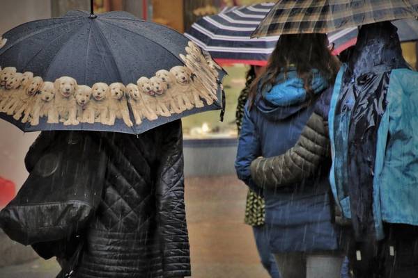 Ankara Valiliği’nden kuvvetli yağış uyarısı