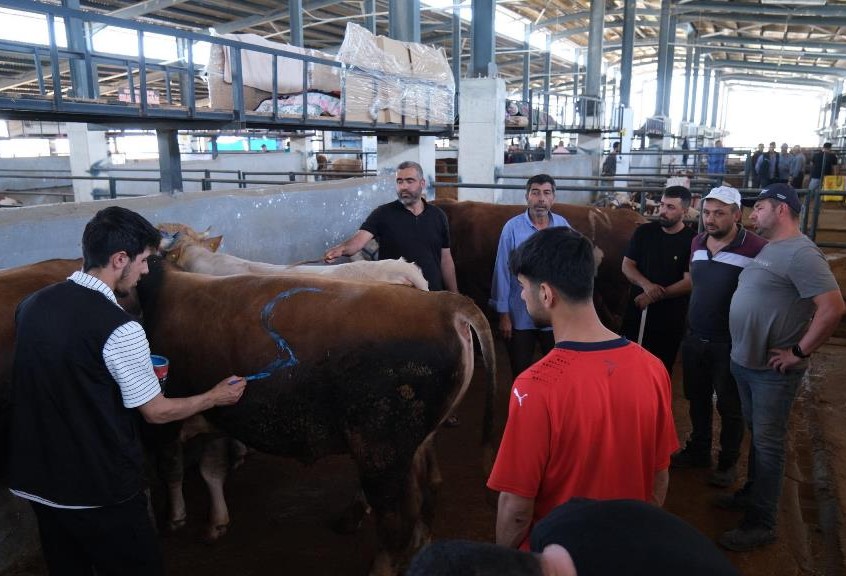 İnegöl Modern Hayvan Pazarı, Kurban Bayramı’nda beklentileri karşıladı<