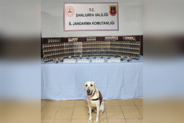 Şanlıurfa'da bin 320 adet gümrük kaçağı sigara ele geçirildi