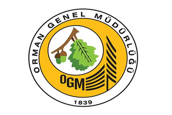 OGM: Muğla'nın Menteşe ilçesinde orman yangınına havadan ve karadan müdahale