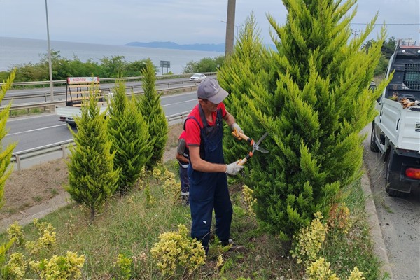 Ordu'da peyzaj düzenlemeleri devam ediyor