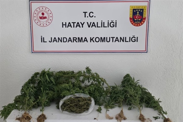 Hatay’da uyuşturucu ve kaçakçılık operasyonları<